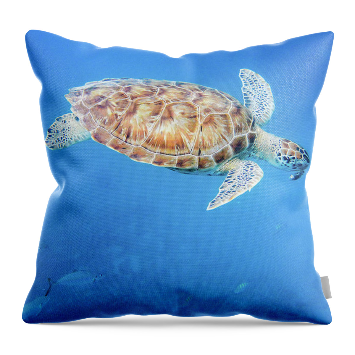 Turtle Throw Pillow featuring the photograph Sea Turtle and fish swimming by Mark Hunter