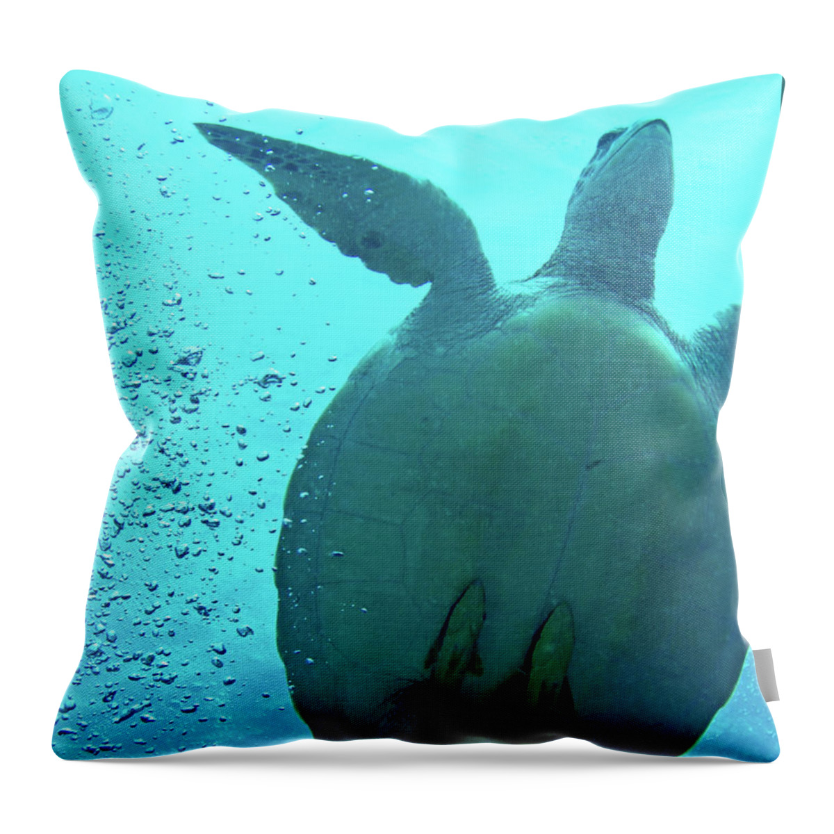 Sea Turtle Throw Pillow featuring the photograph Sea Turtle Stowaways by Becqi Sherman