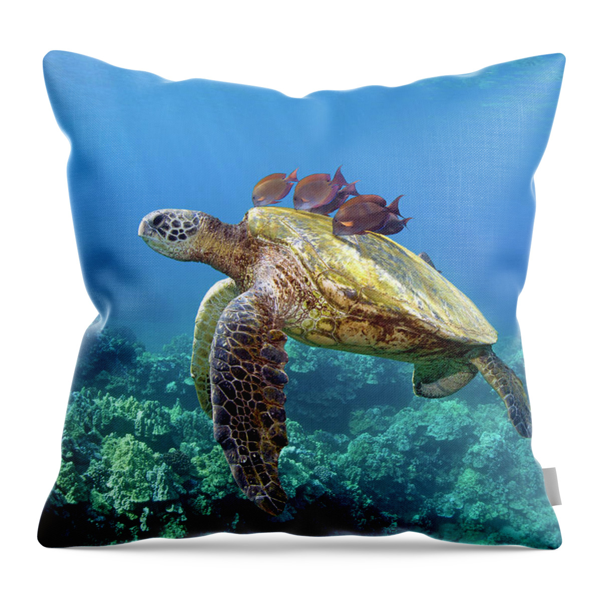 Underwater Throw Pillow featuring the photograph Sea Turtle Underwater by M.m. Sweet