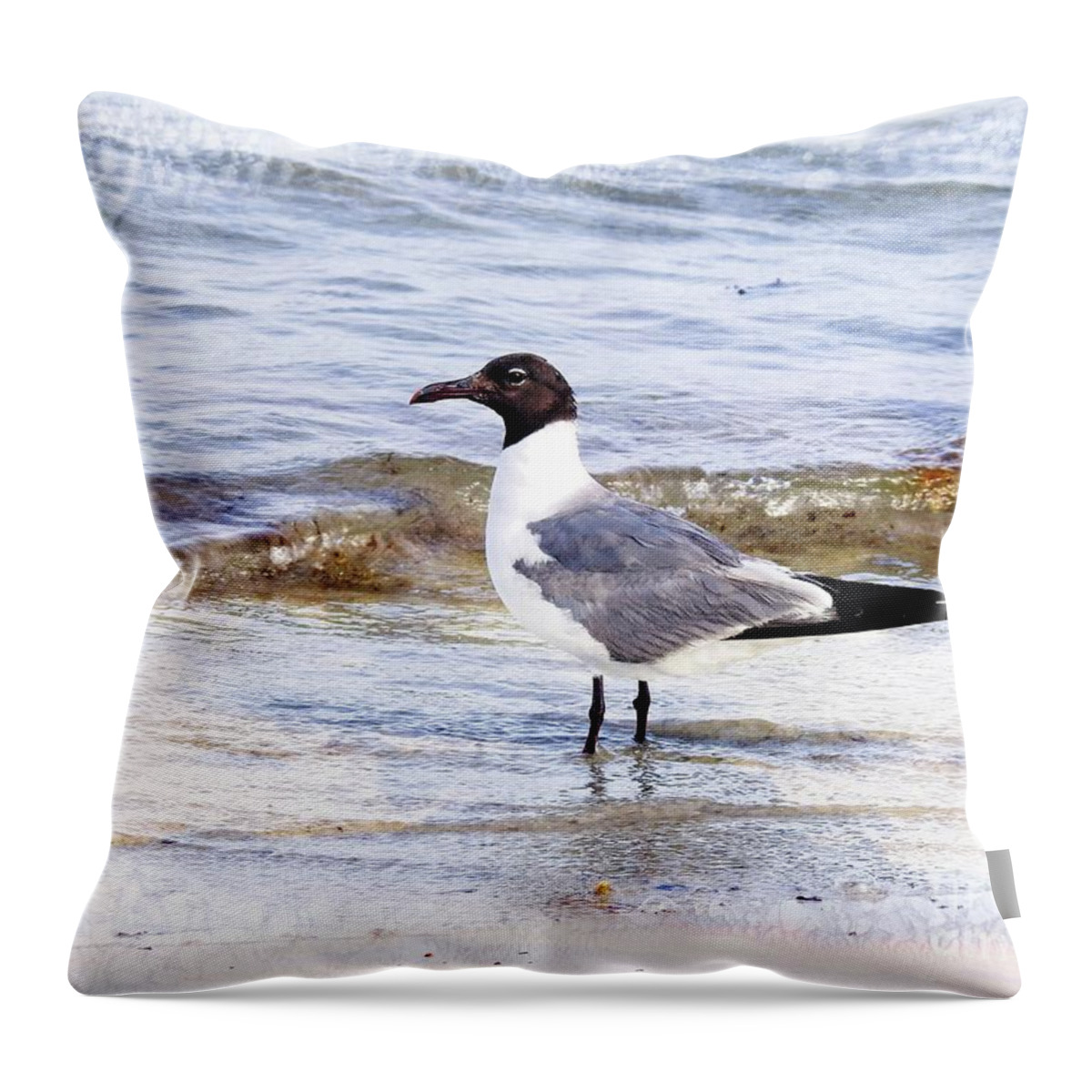 Seagull Throw Pillow featuring the photograph Seagull Beach life by Ella Kaye Dickey