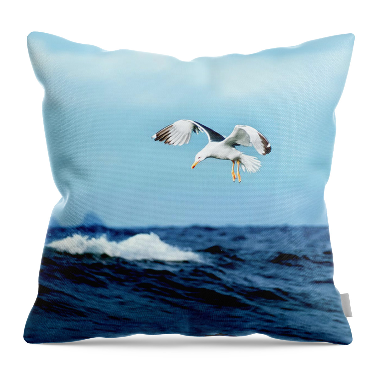 Animal Themes Throw Pillow featuring the photograph Seagull by J.d. Rguez. Hdez.