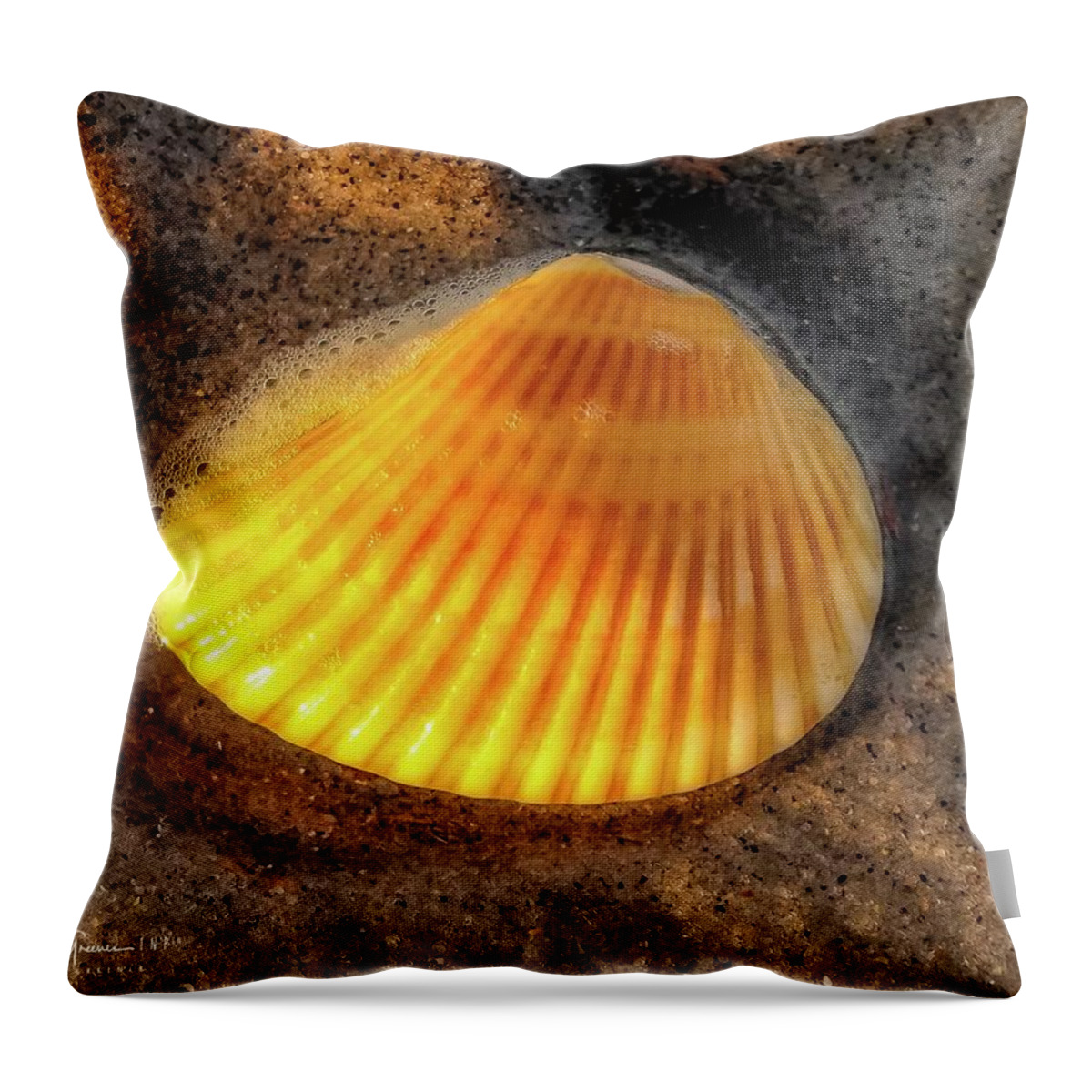 Seashell Throw Pillow featuring the photograph SeaShell Shines at Sunset by Shawn M Greener