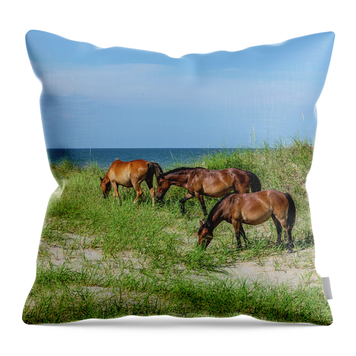 Animals Throw Pillow featuring the photograph Seaside Graze by Donna Twiford