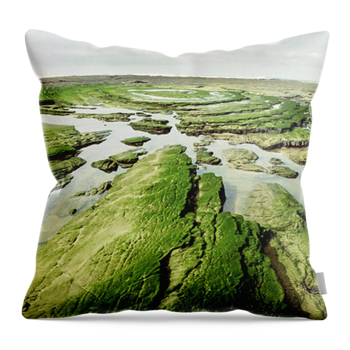 Scenics Throw Pillow featuring the photograph Seaweed Collection by Kari Siren