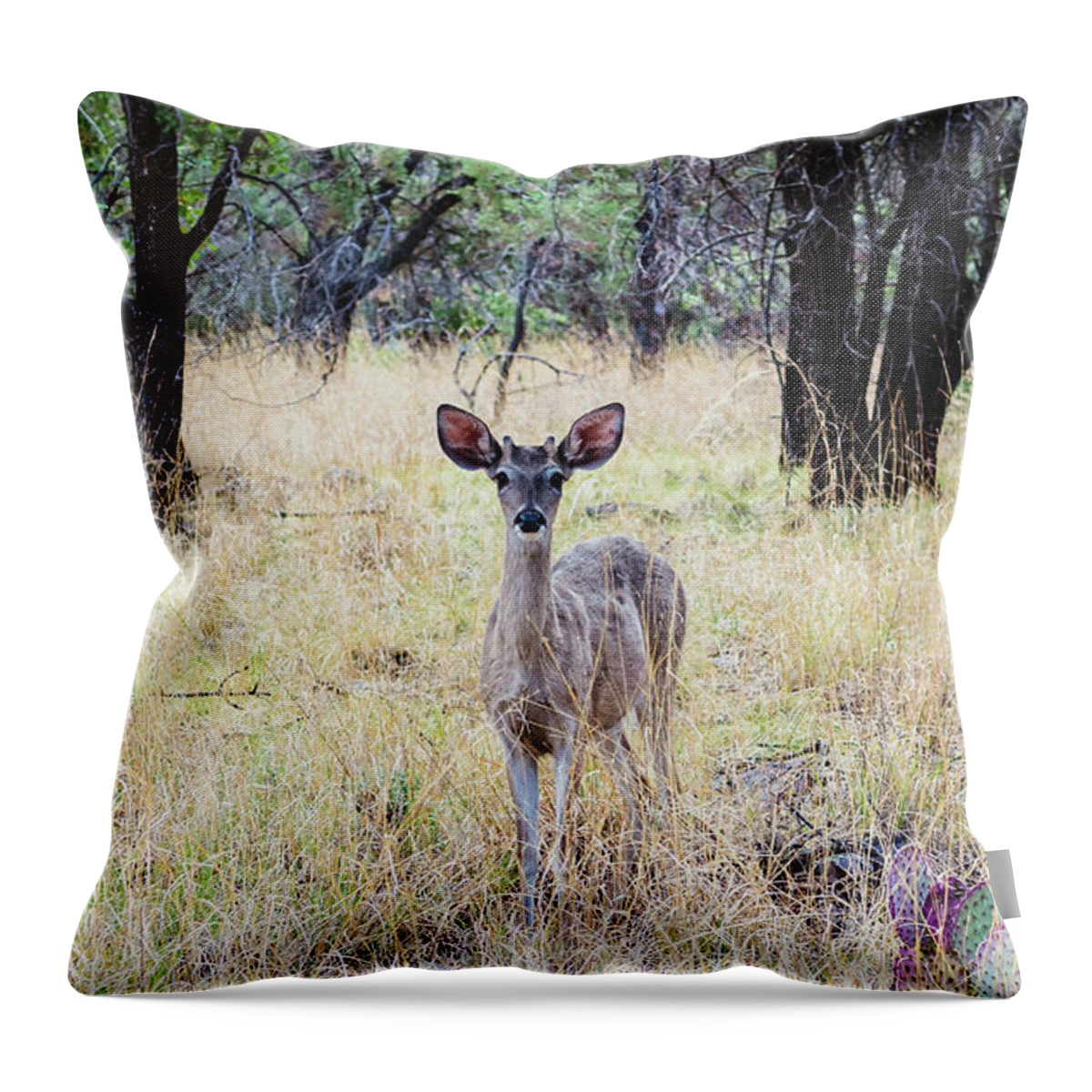 Deer Throw Pillow featuring the photograph Second Breakfast by Melisa Elliott
