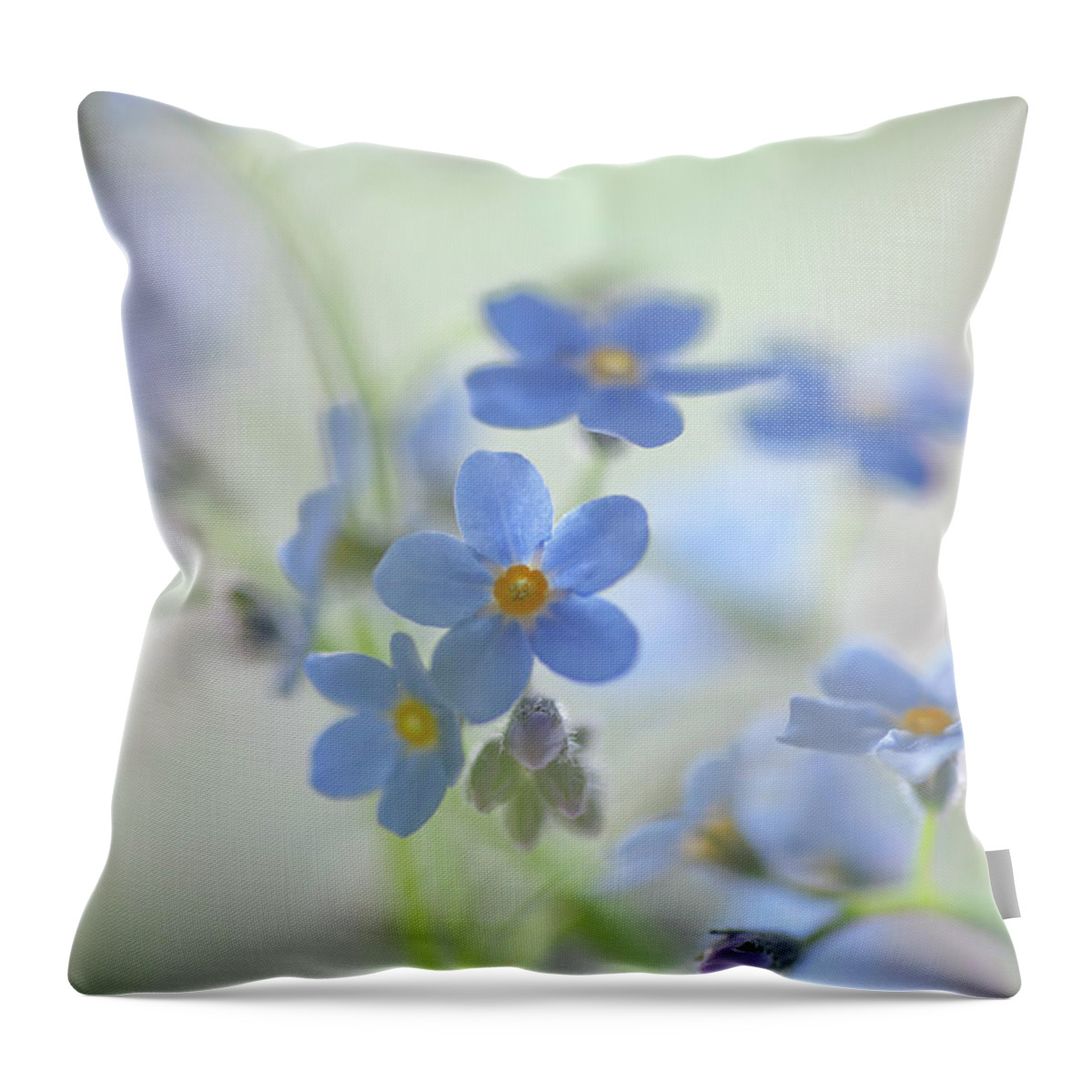 Jenny Rainbow Fine Art Photography Throw Pillow featuring the photograph Secret Life of Flowers. Subtle Beauty of Forget-Me-Not 29 by Jenny Rainbow