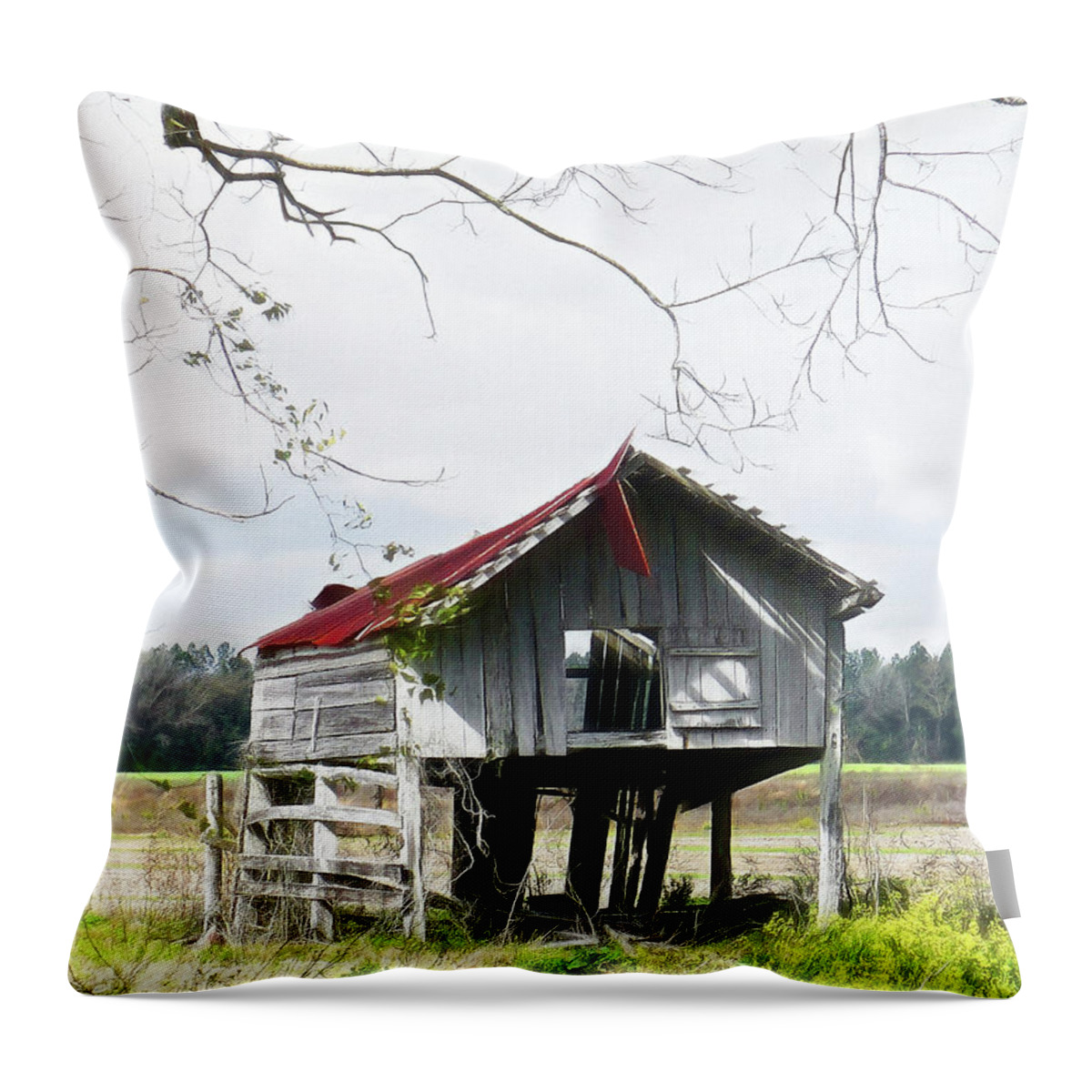 Barn Throw Pillow featuring the photograph Seen Better Days by Susan Hope Finley