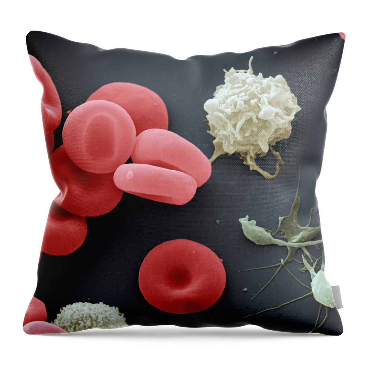 Blood Throw Pillow featuring the photograph Sem Of Blood Cells by Meckes/ottawa