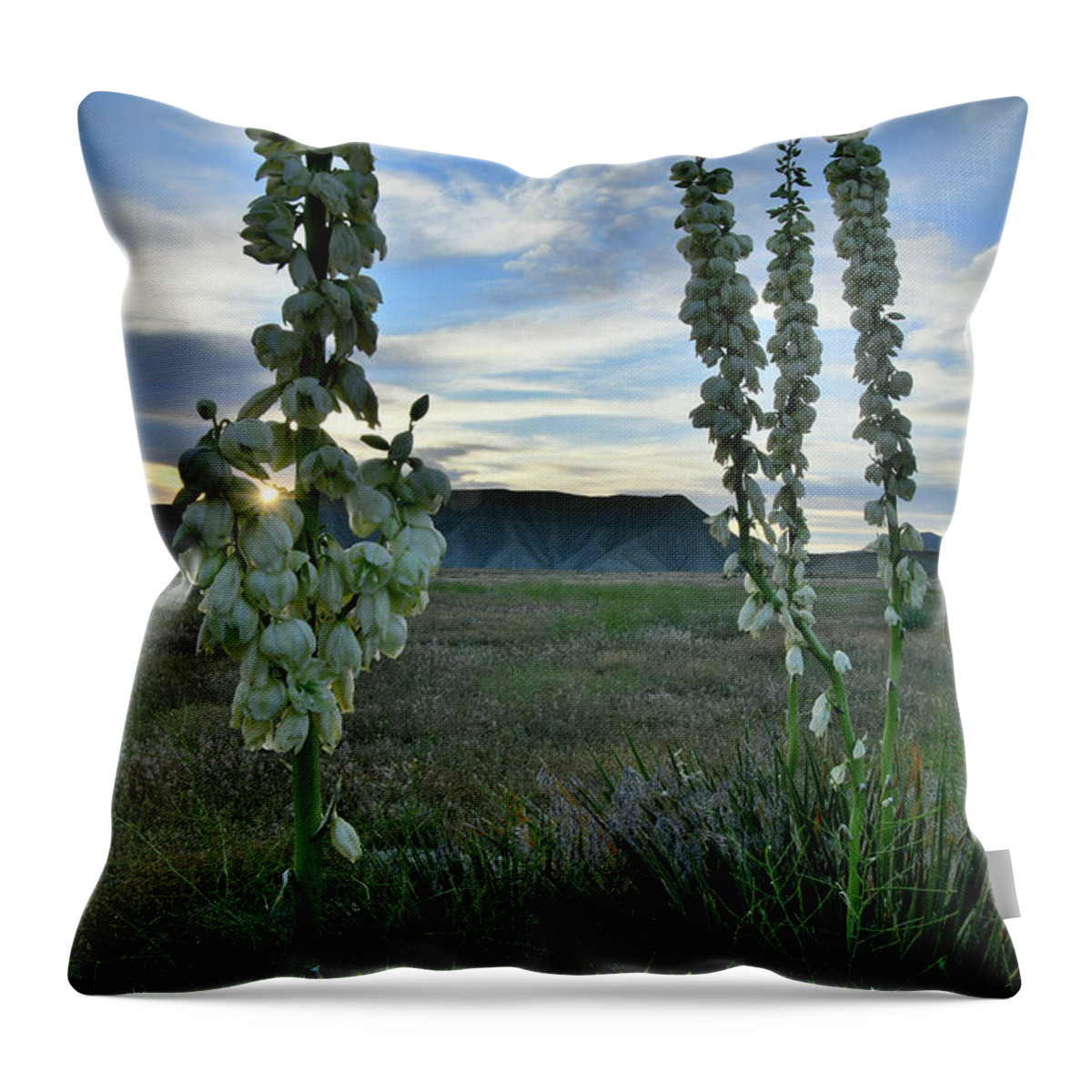 Book Cliffs Throw Pillow featuring the photograph Setting Sun Peaks through Yucca in Book Cliffs by Ray Mathis