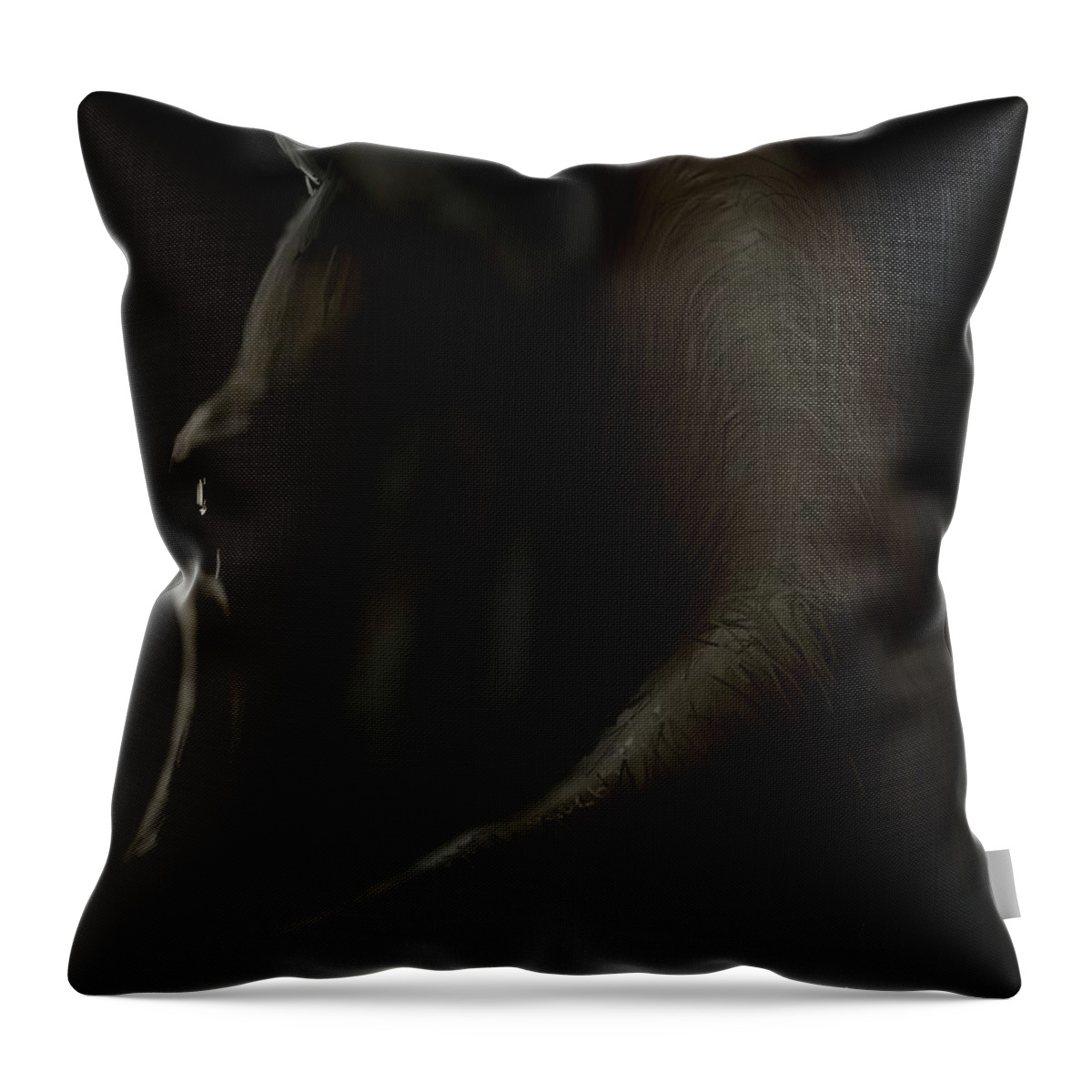 Horse Throw Pillow featuring the digital art Shadow Horse by Darren Cannell