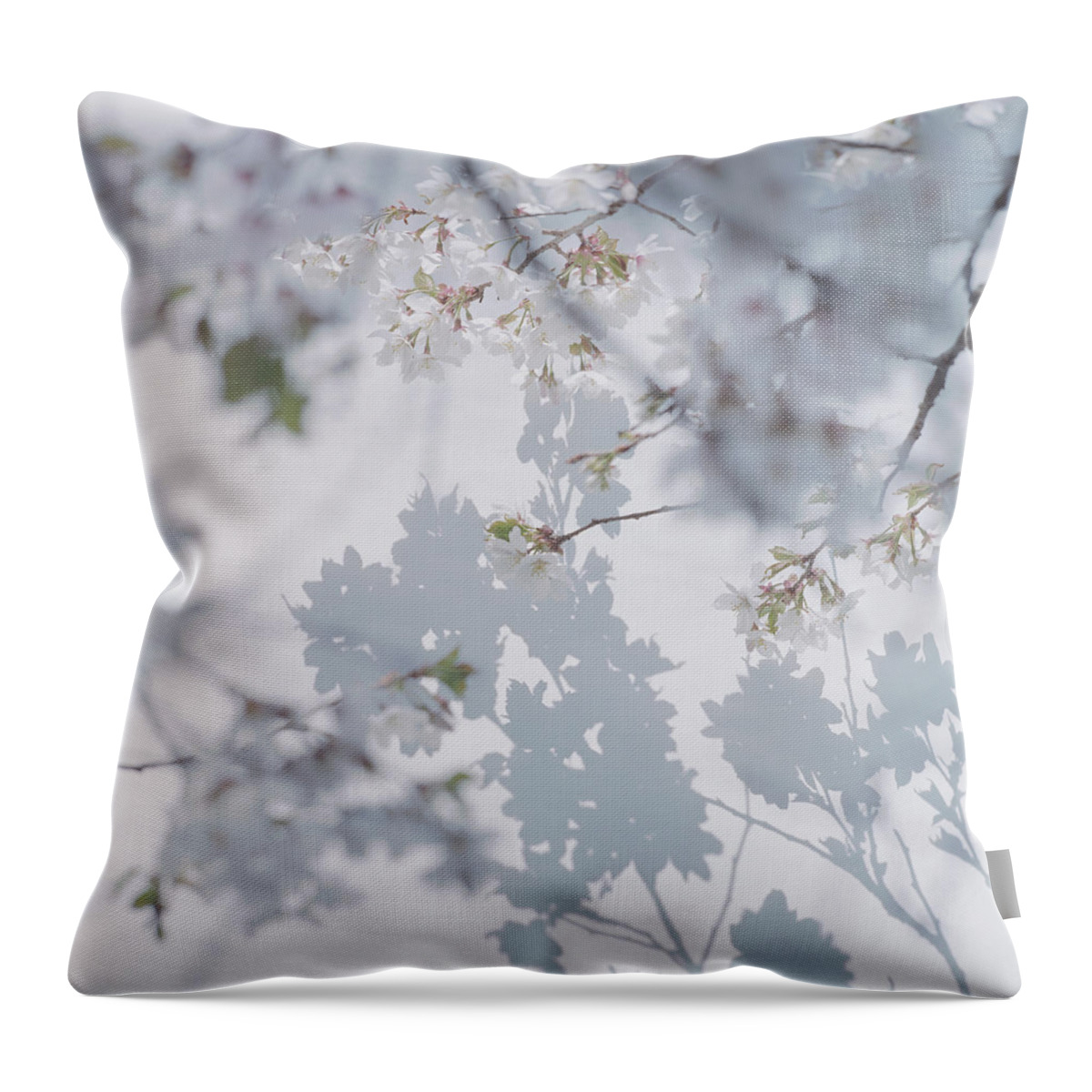 Shadow Throw Pillow featuring the photograph Shadow Of Cherry Blossoms On Wall With by Eriko Koga