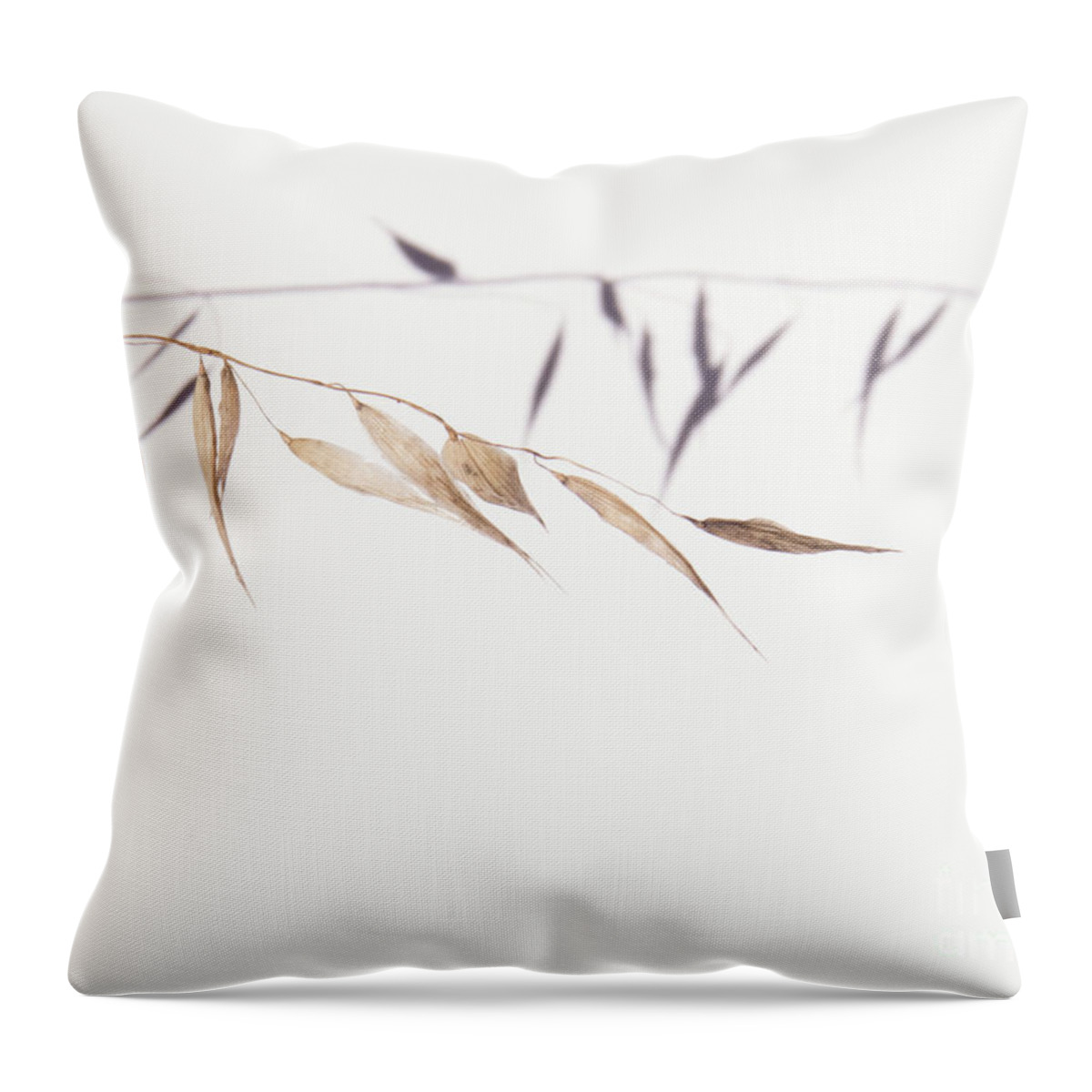 Weeds Throw Pillow featuring the photograph Shadow of Dormant Leaves by Christy Garavetto