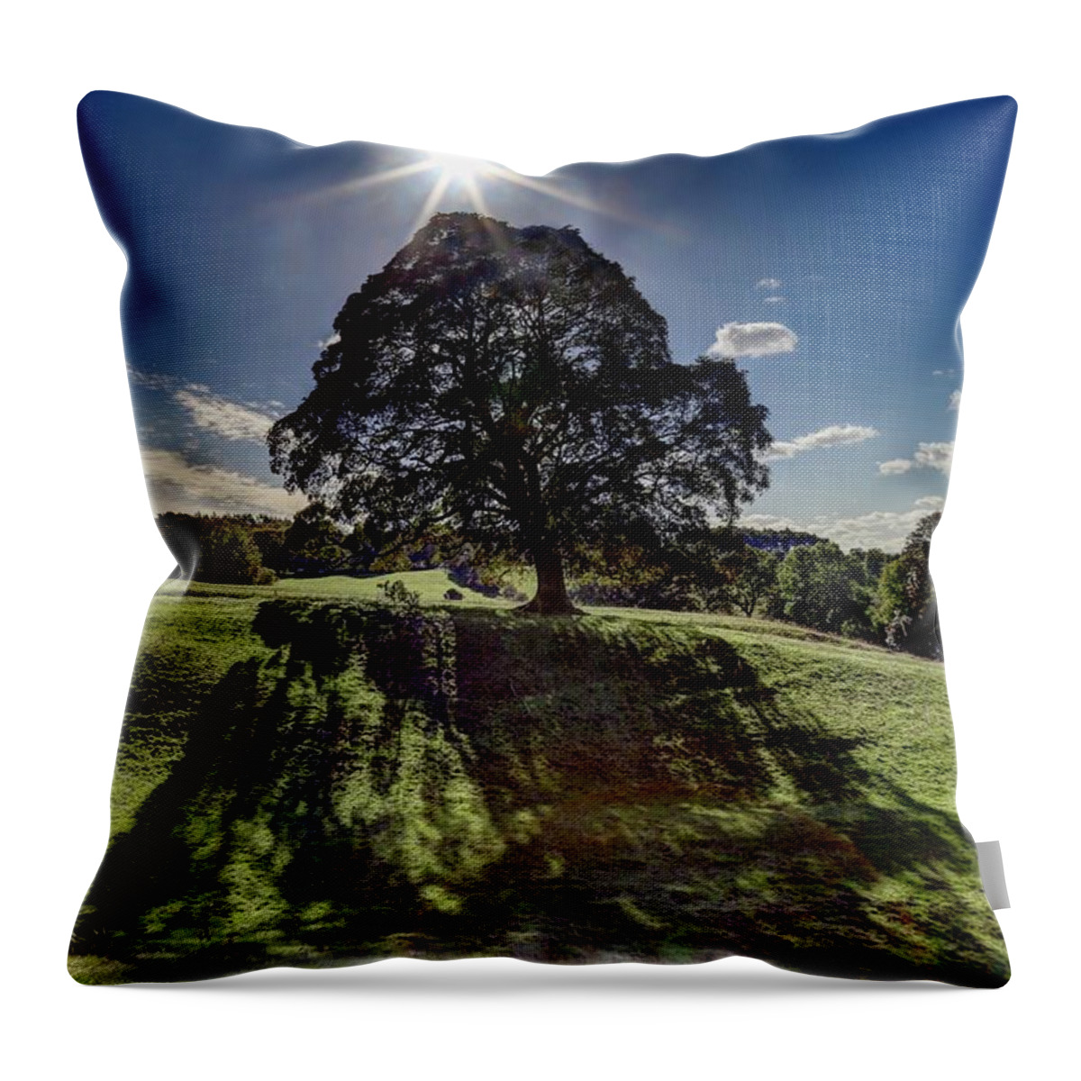 Tree Throw Pillow featuring the photograph Shadow Veil by John Meader