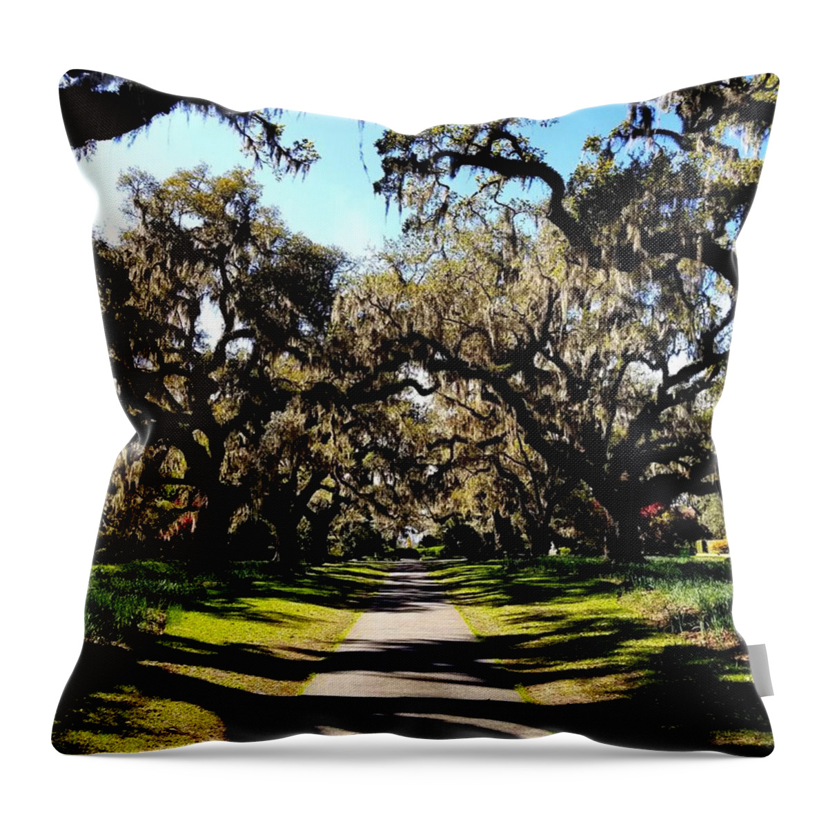  Throw Pillow featuring the photograph Shadow Walk by Adrian Maggio