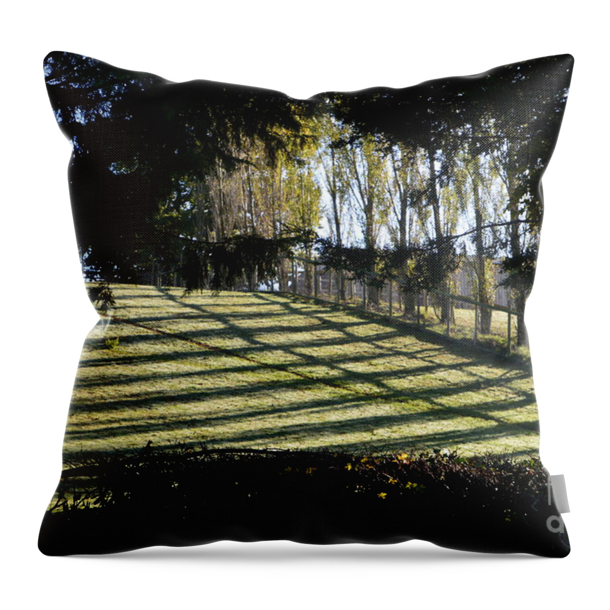 Shadows Throw Pillow featuring the photograph Shadows by Andy Thompson