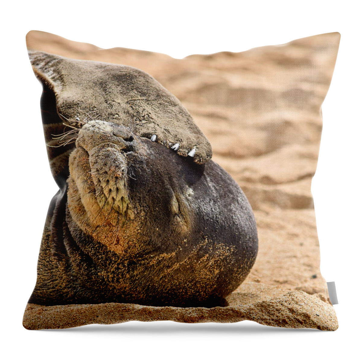 Hawaiian Monk Seal Throw Pillow featuring the photograph Shady Seal Hawaiian Monk Seal by Debra Banks