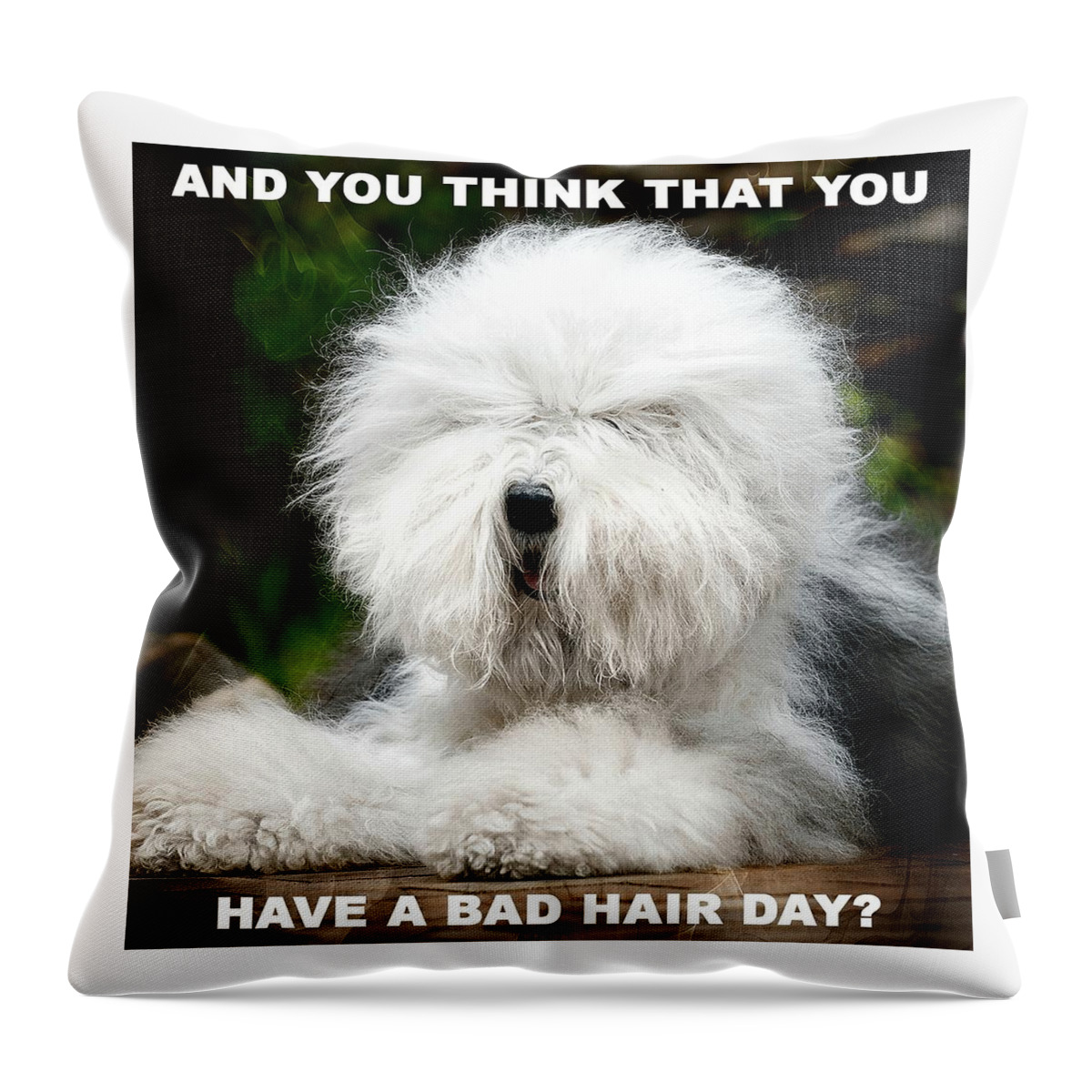 Animal Throw Pillow featuring the photograph Shaggy Dog With Bad Hair Day by Michelle Liebenberg