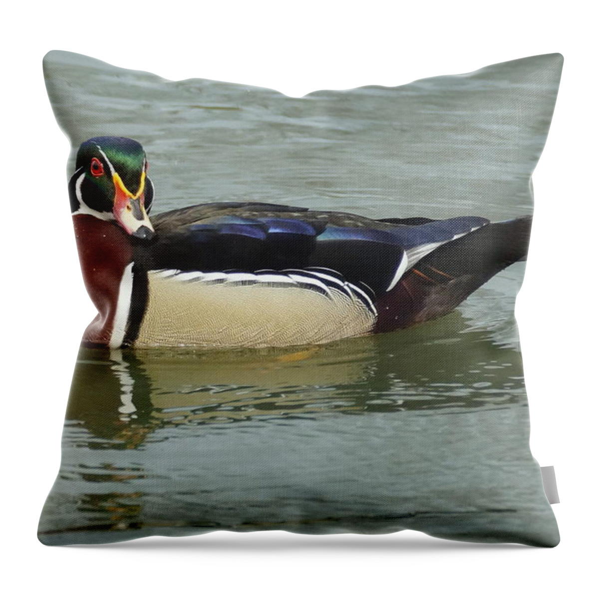 Bird Throw Pillow featuring the photograph Shall I Pose For You by Beth Collins