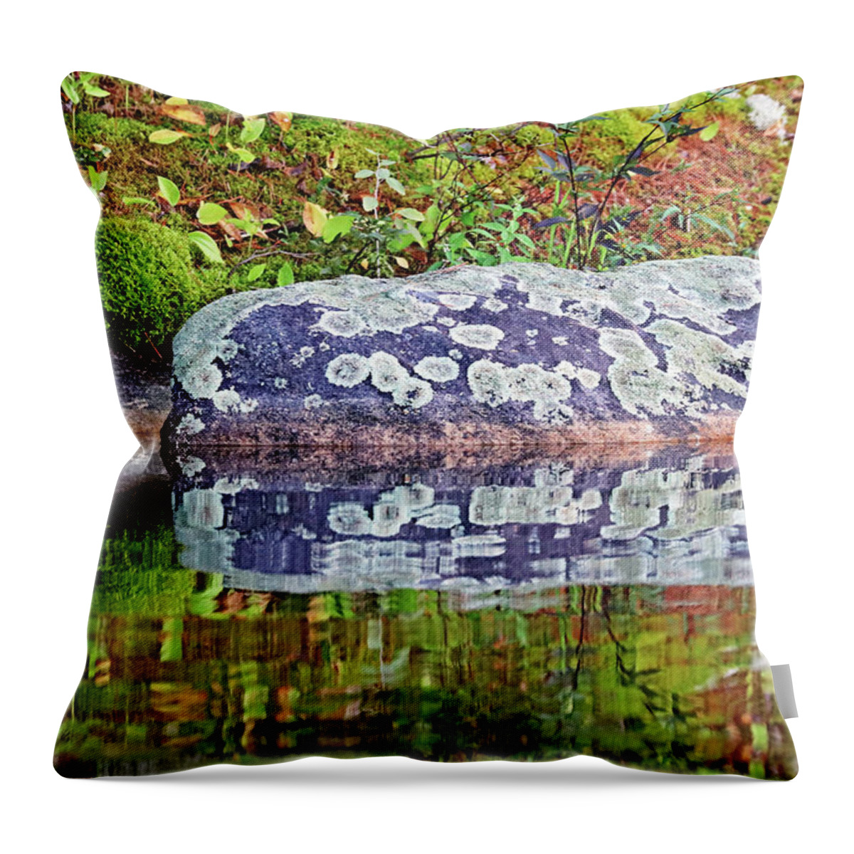 Shawanaga River Throw Pillow featuring the photograph Shawanaga Rock And Reflections by Debbie Oppermann