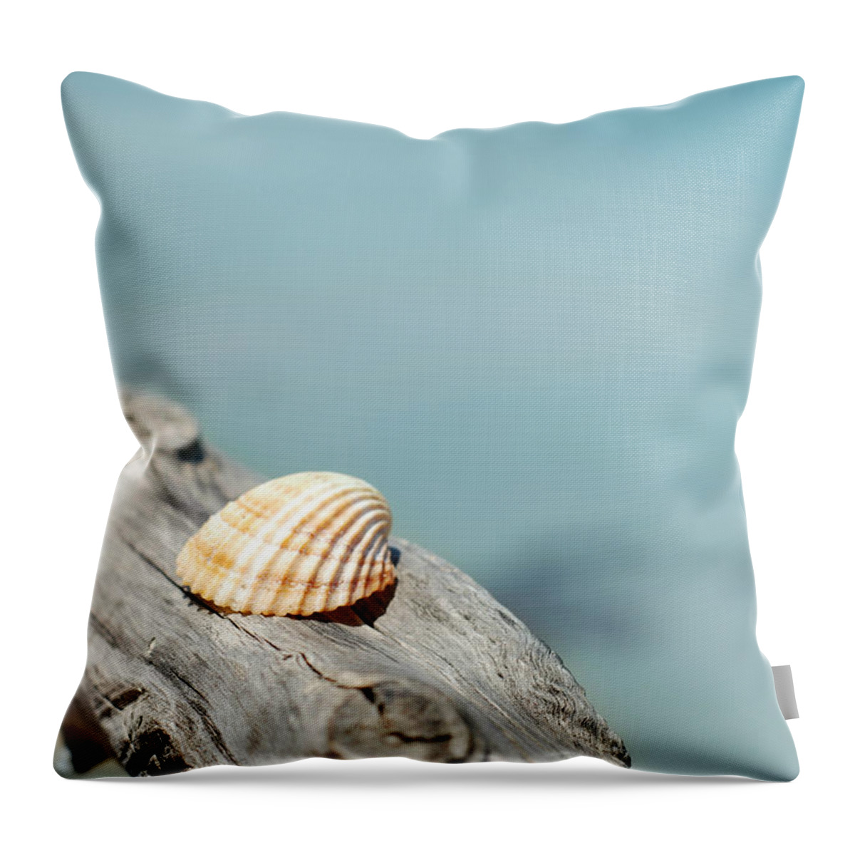 Tranquility Throw Pillow featuring the photograph Shell by Donatella Loi Photography