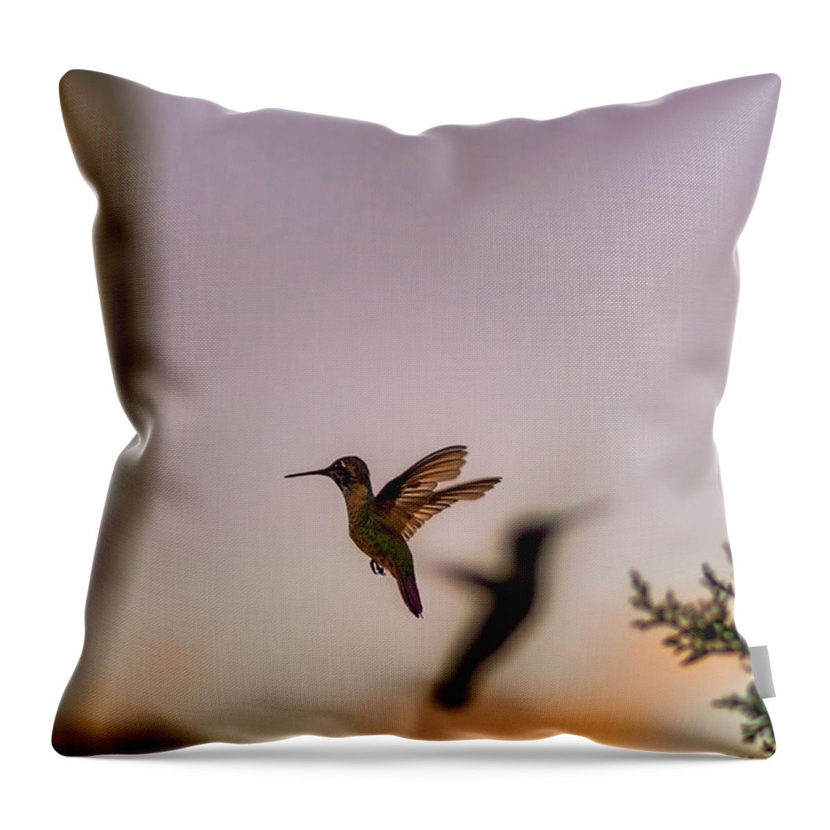 Hummingbird Throw Pillow featuring the photograph Shift Change by Peter Hull