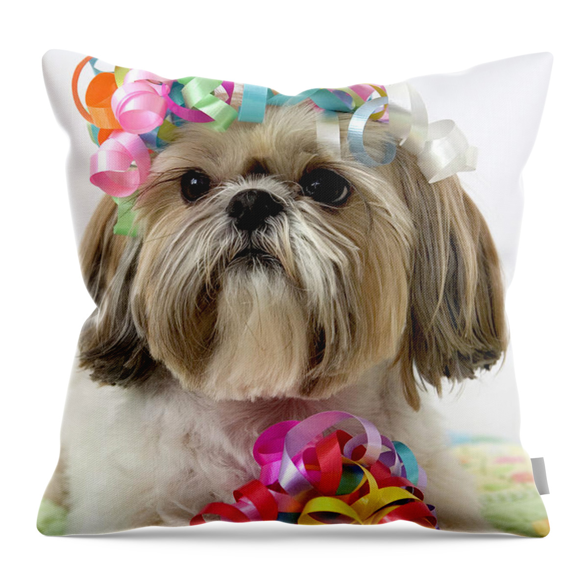 Pets Throw Pillow featuring the photograph Shih Tzu Dog by Geri Lavrov