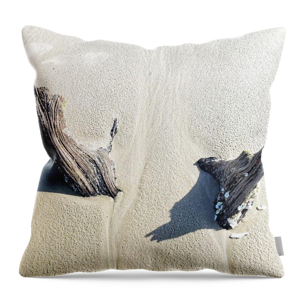 Landscape Throw Pillow featuring the photograph Shining Light by Portia Olaughlin