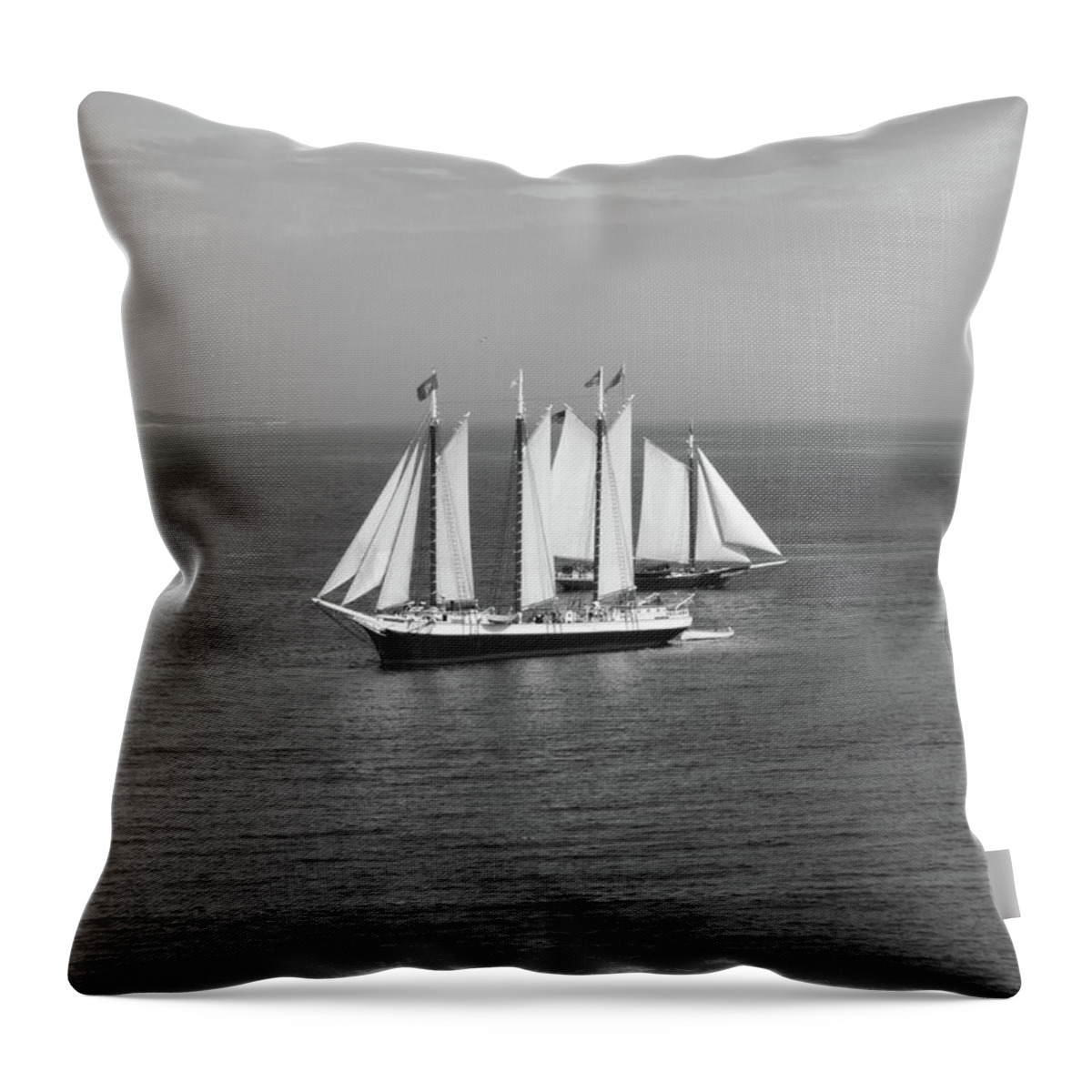 Sloop Throw Pillow featuring the photograph Ships passing by Jean Evans