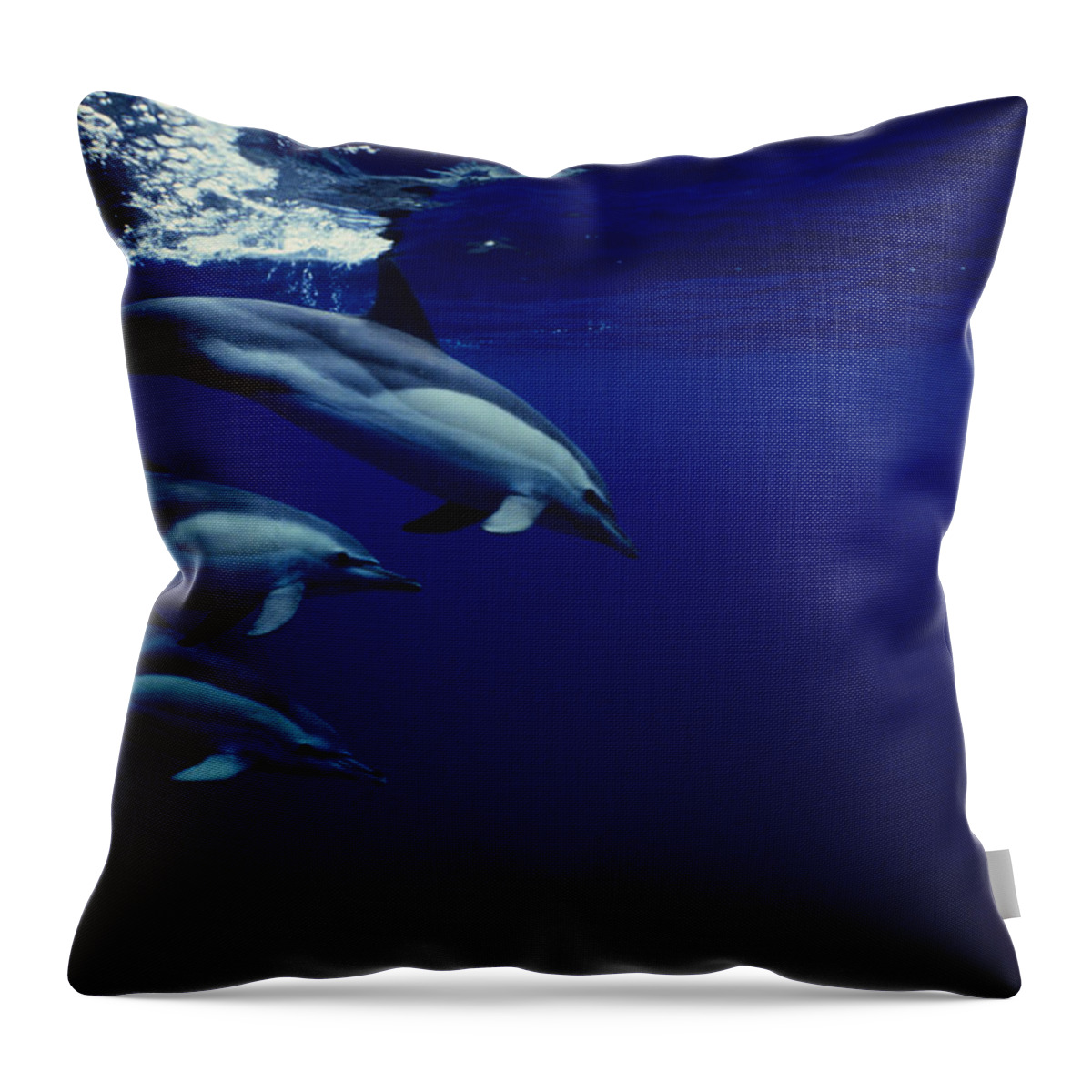 Underwater Throw Pillow featuring the photograph Short-beaked Common Dolphin, Delphinus by Gerard Soury