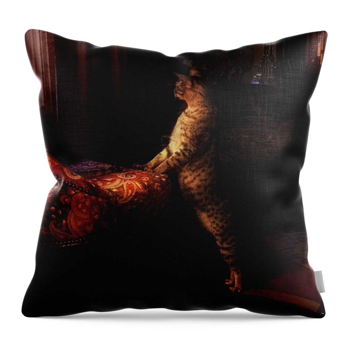 500 Views Throw Pillow featuring the photograph Showing Off His Pedigree by Jenny Revitz Soper