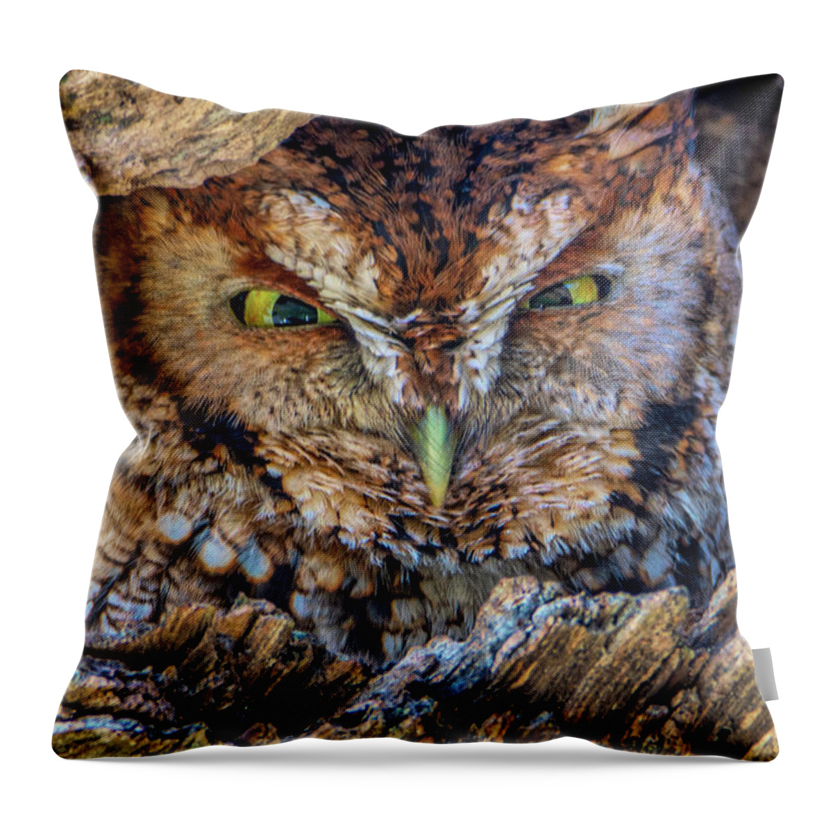 Eastern Screech Owl Throw Pillow featuring the photograph Shy Screech Owl by Douglas Wielfaert