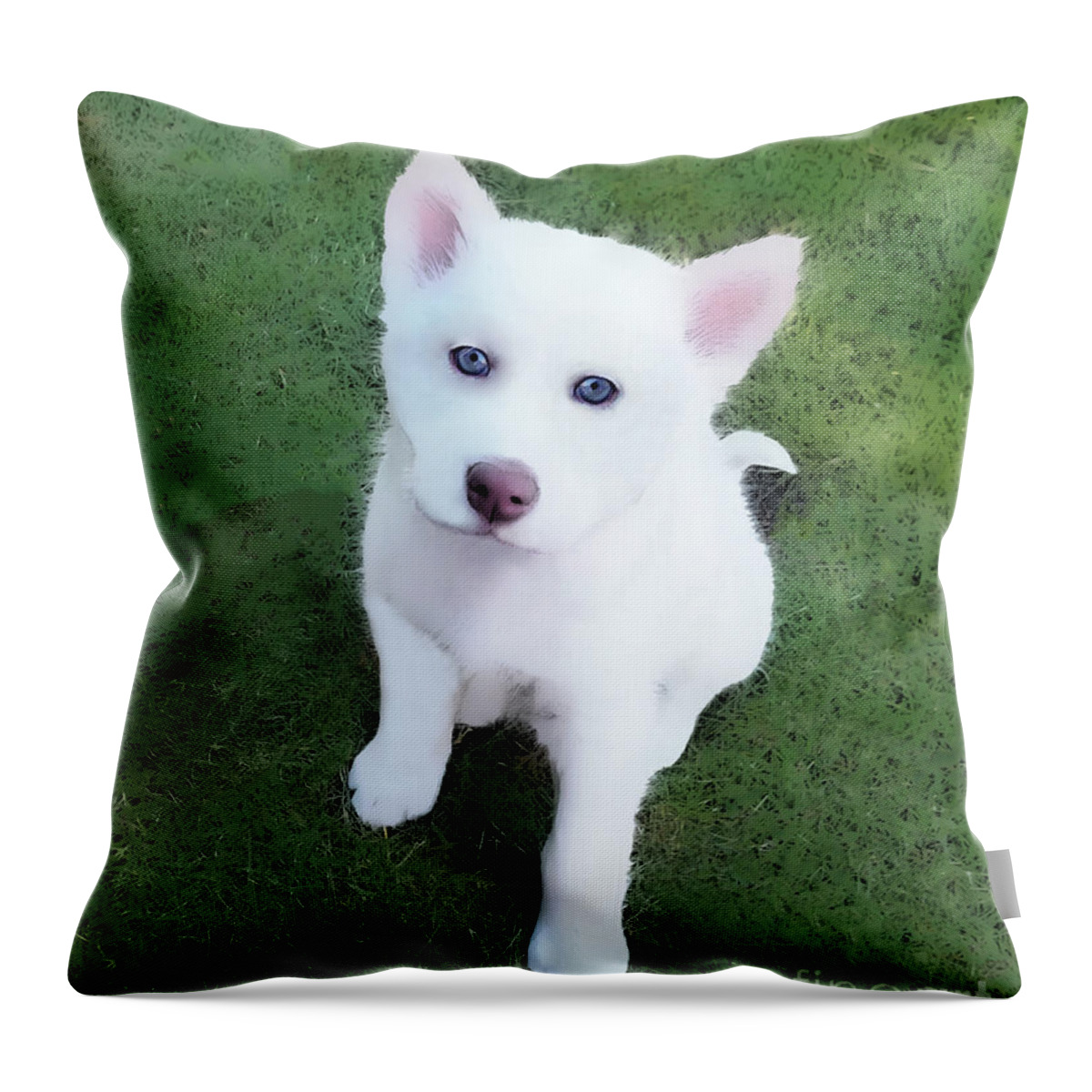 Husky Throw Pillow featuring the photograph Siberian Husky Puppy A030619 by Mas Art Studio