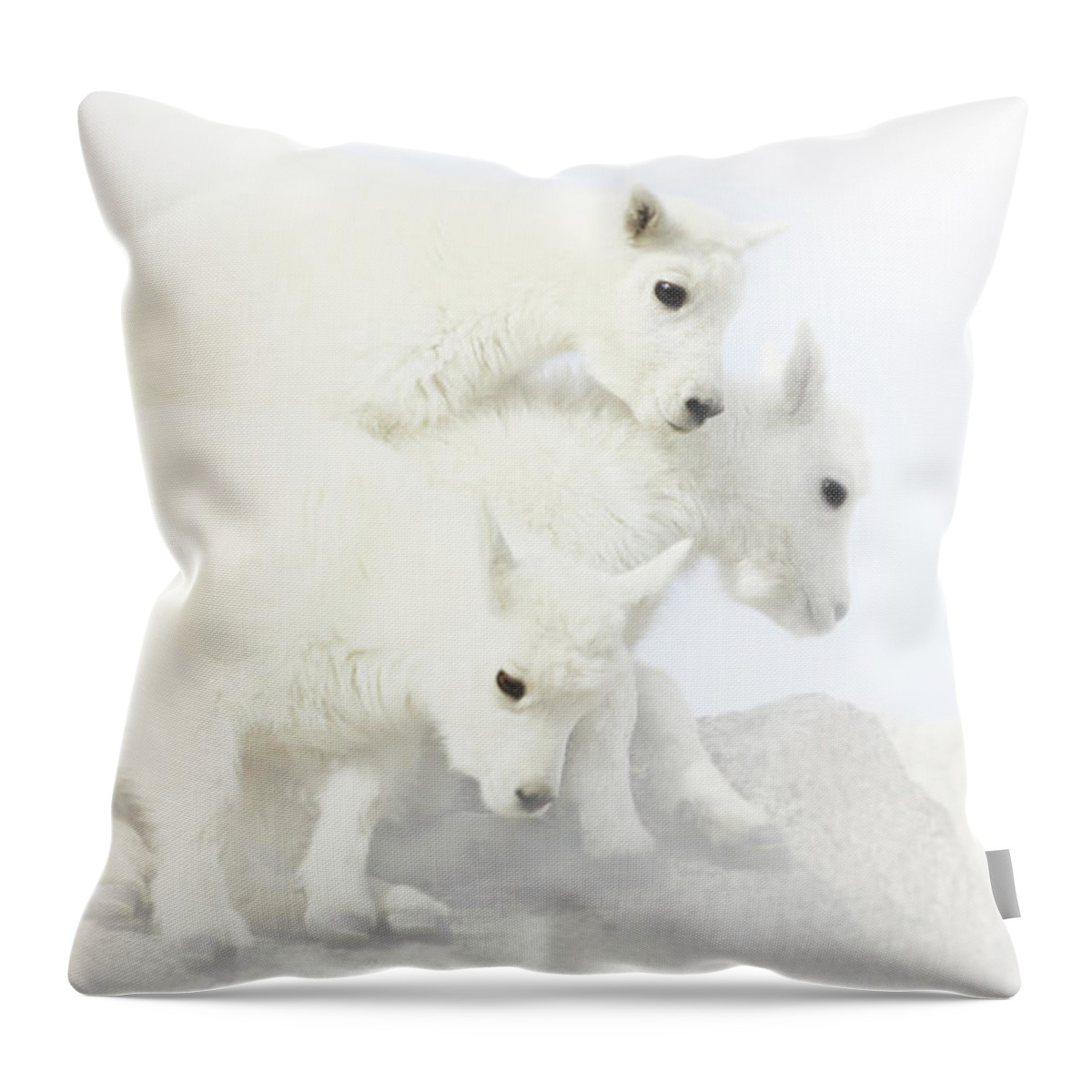 Sibling Throw Pillow featuring the photograph Sibling Rivalry by Brian Gustafson