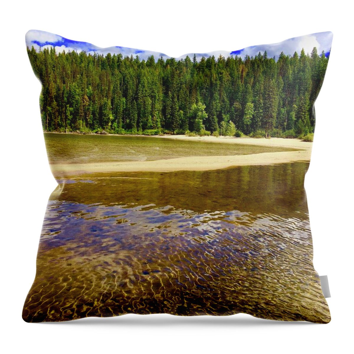 Murtle Lake Blue River Throw Pillow featuring the photograph Site #1 Murtle Lake Blue River by Gregory Merlin Brown