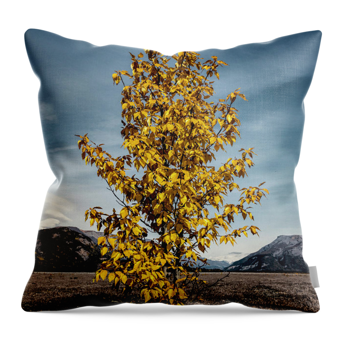 Alaska Throw Pillow featuring the photograph Sign of the Times by Fred Denner