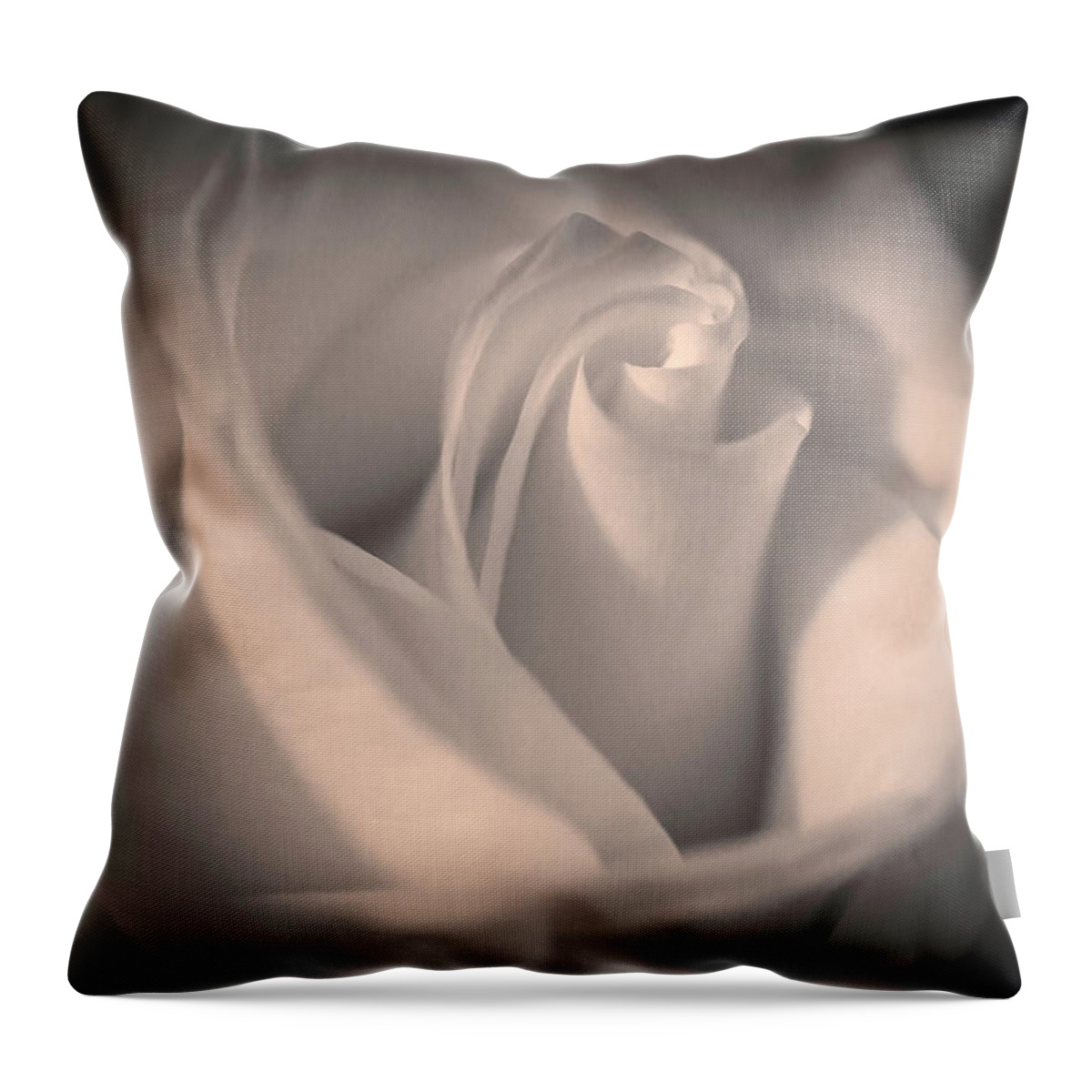 Photograph Throw Pillow featuring the photograph Silky Pastel Rose by Pheasant Run Gallery