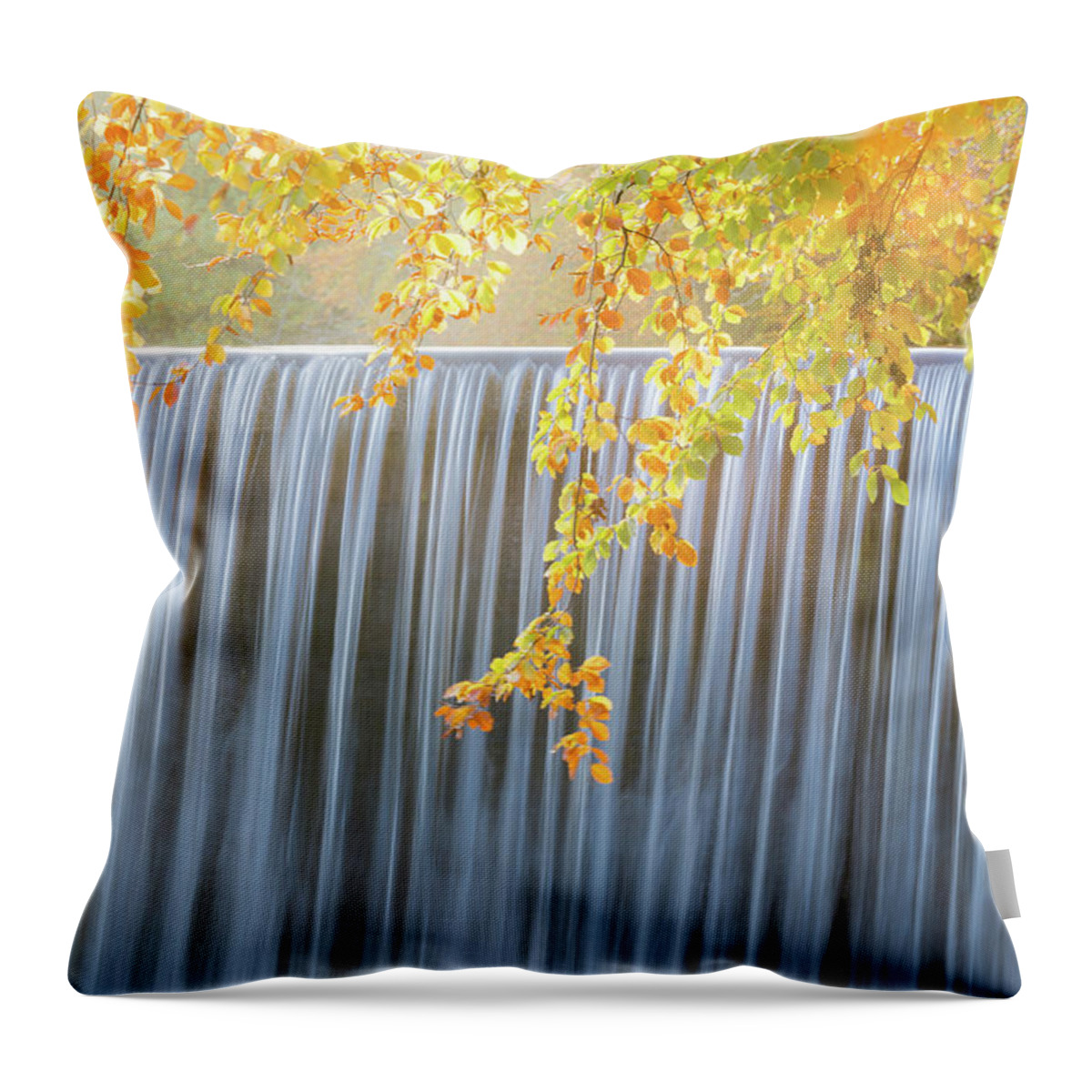 Landscape Throw Pillow featuring the photograph Silver and Gold by Anita Nicholson