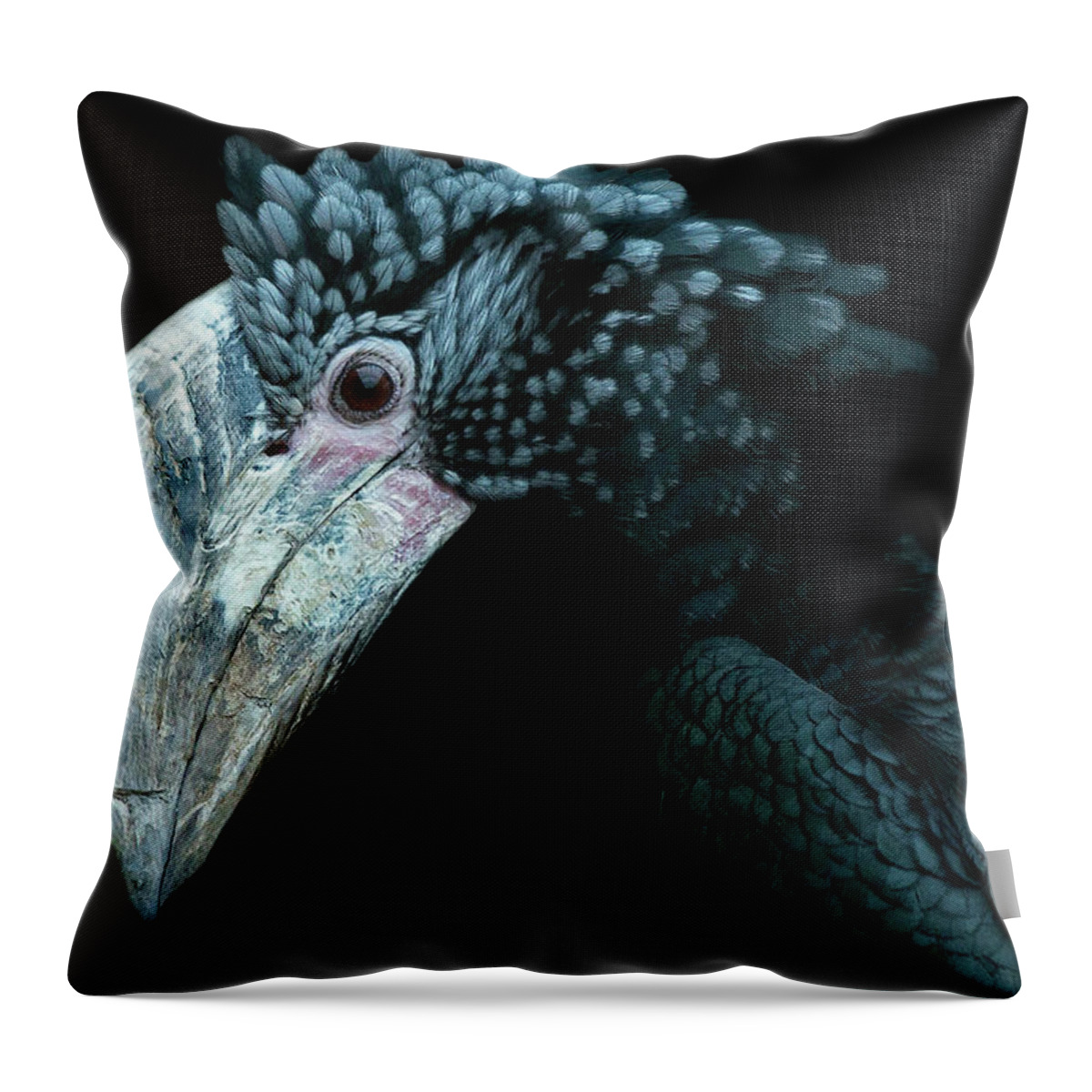 Toronto Throw Pillow featuring the photograph Silver Cheeked Hornbill by Ryan Courson Photography