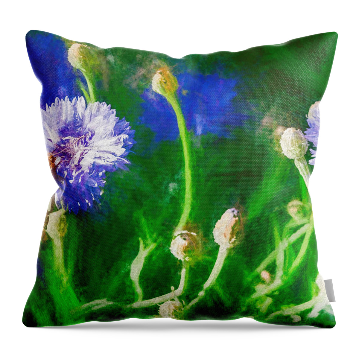 Silver Spotted Skipper Throw Pillow featuring the photograph Silver Spotted Skipper Butterfly Chalk by Don Northup