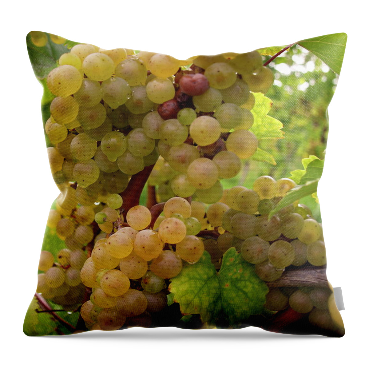 Grapes Throw Pillow featuring the photograph Silver Thread - 4 by Jeffrey Peterson