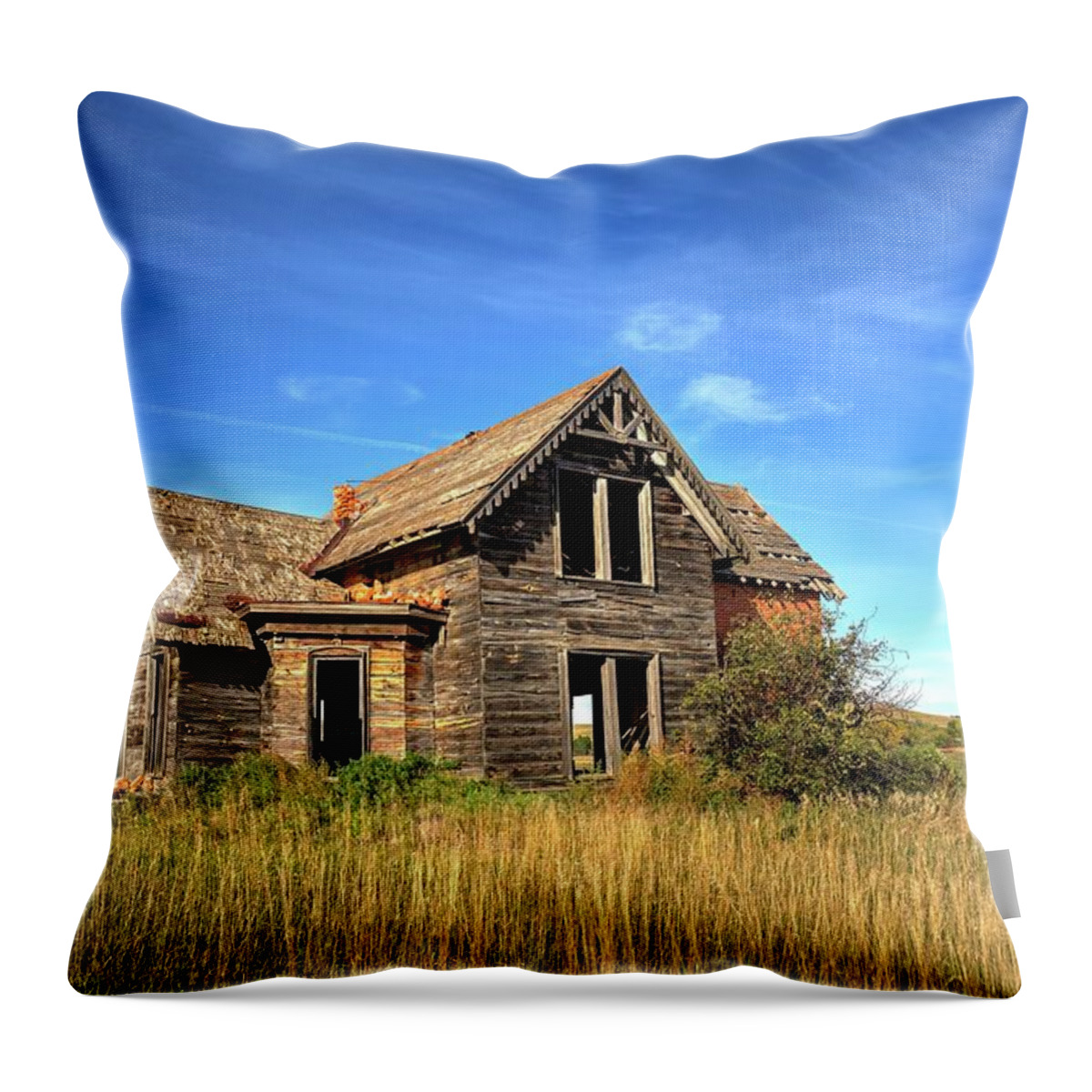 Abandoned Throw Pillow featuring the photograph Sims Show Place by Harriet Feagin