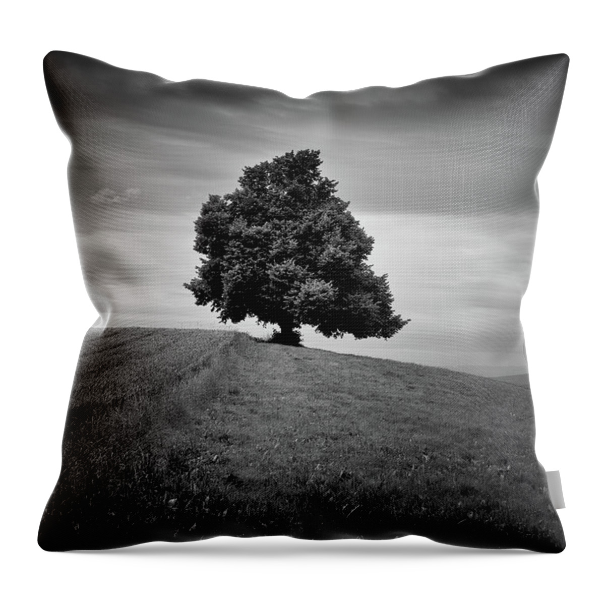 Zurich Throw Pillow featuring the photograph Single Tree In Fields by Tobias Gaulke