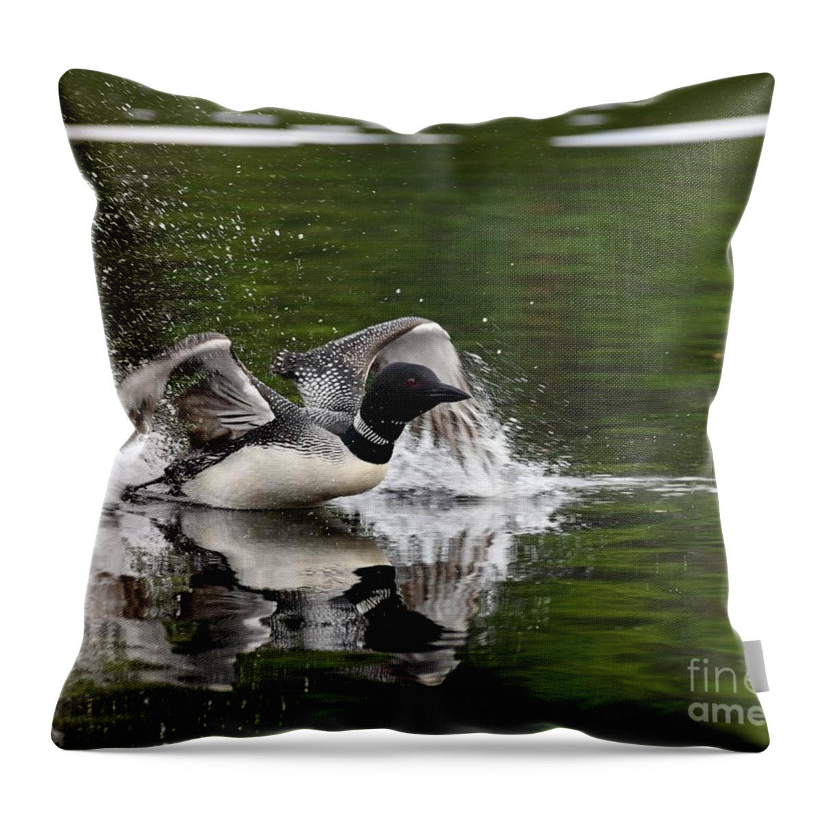 Lake Throw Pillow featuring the photograph Skimming Loon by Steve Brown