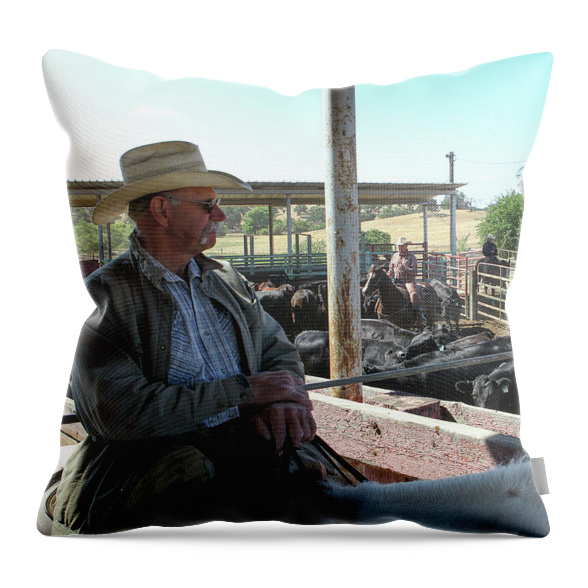 Cowboy Throw Pillow featuring the photograph Skip by Diane Bohna
