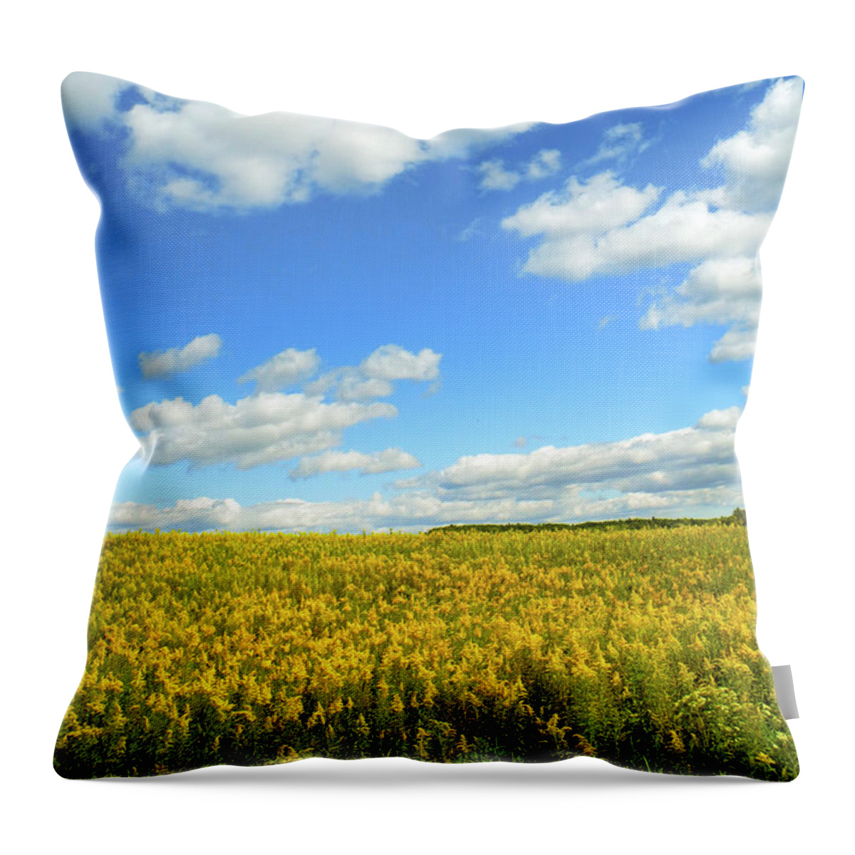 Blue Sky Throw Pillow featuring the photograph Blue Sky And Goldenrod Flowers by Christina Rollo