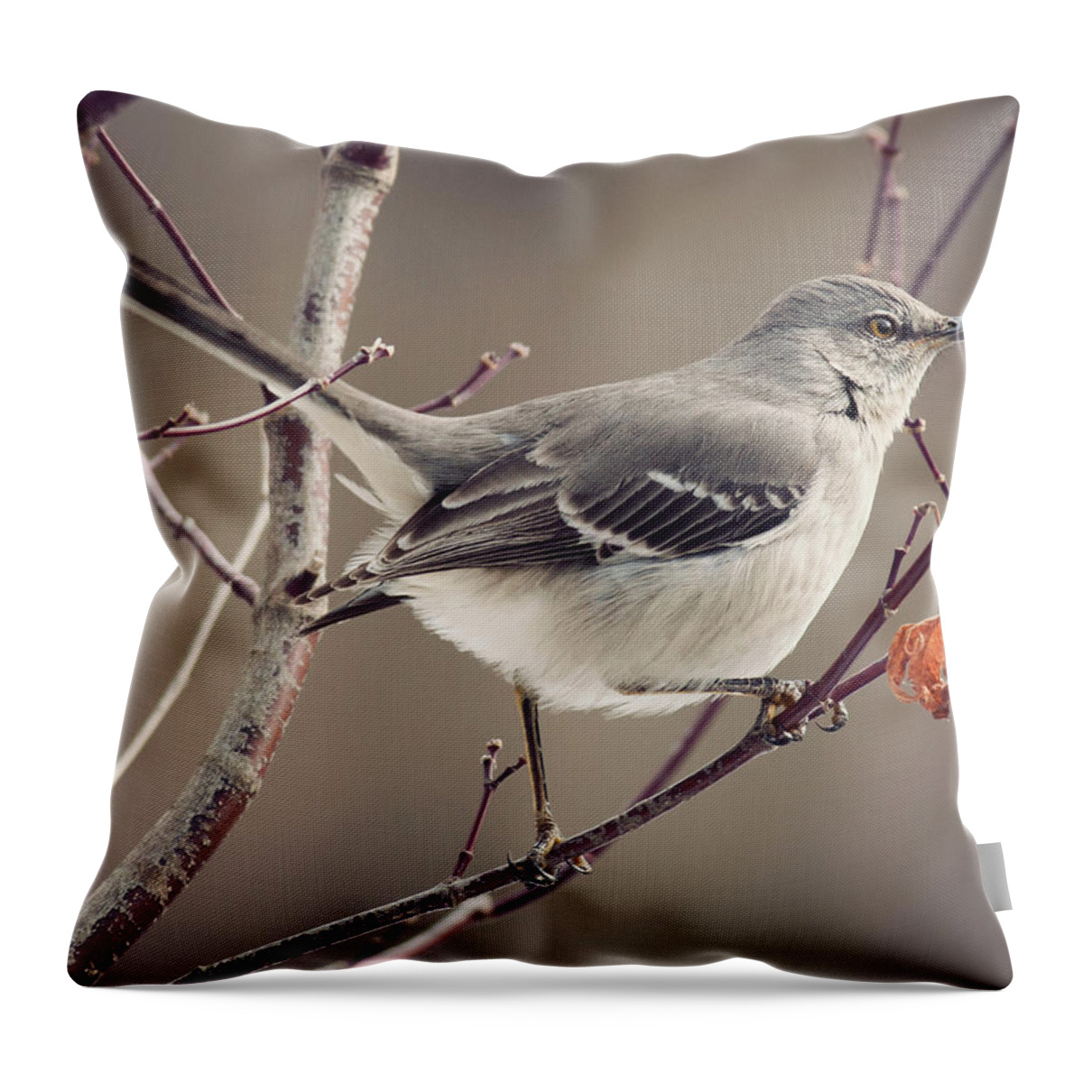 Animal Themes Throw Pillow featuring the photograph Small Miracles by Jody Trappe Photography