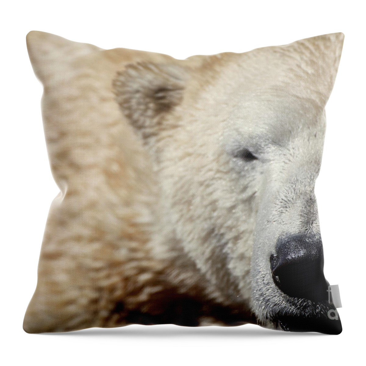 Wildlife Throw Pillow featuring the photograph Smile by Robert WK Clark