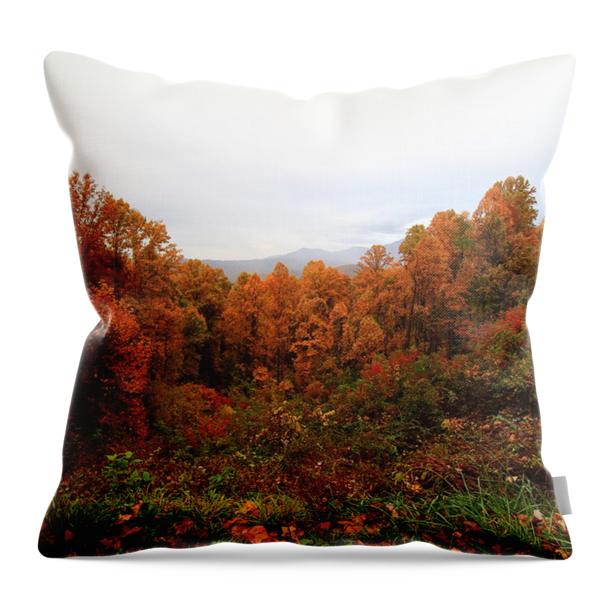Glory Throw Pillow featuring the photograph Smokies in Autumn by Kevin Wheeler