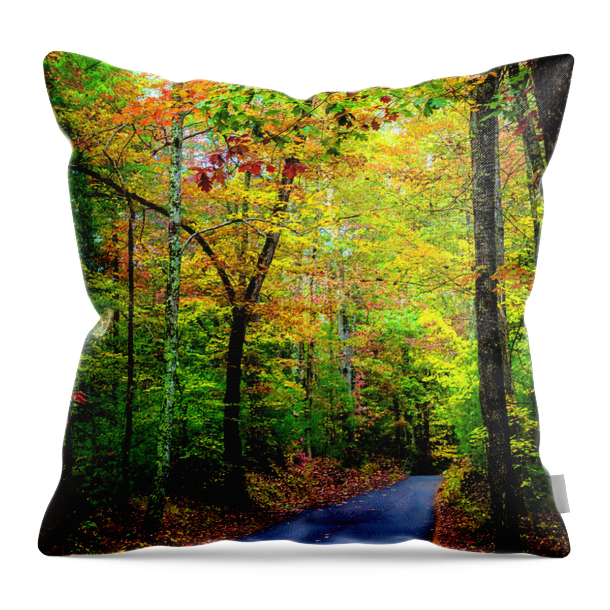Appalachia Throw Pillow featuring the photograph Smoky Mountain Autumn Colors by Debra and Dave Vanderlaan