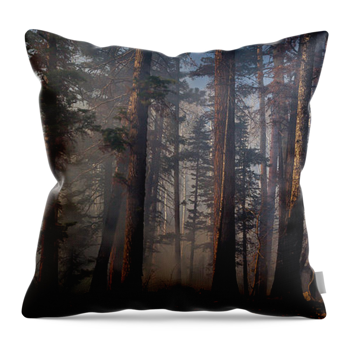 Scenics Throw Pillow featuring the photograph Smoldering Forest Fire by Eric R. Hinson